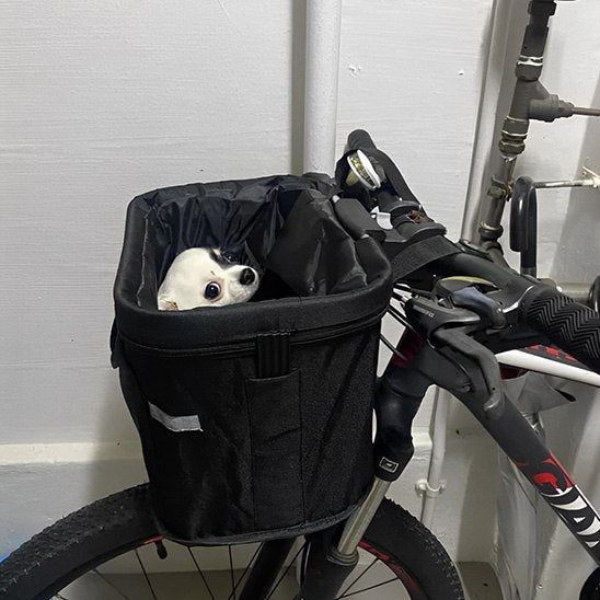 Petit chien Chihuahua blanc et noir dans un panier velo chien noir à l'intérieur.