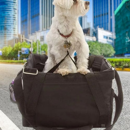 Bichon maltais blanc attaché par une laisse de sécurité dans son panier vélo chien noir.