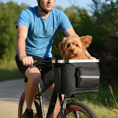 Petit chien brun poilu dans un panier vélo chien mené par un homme en T-shirt bleu.