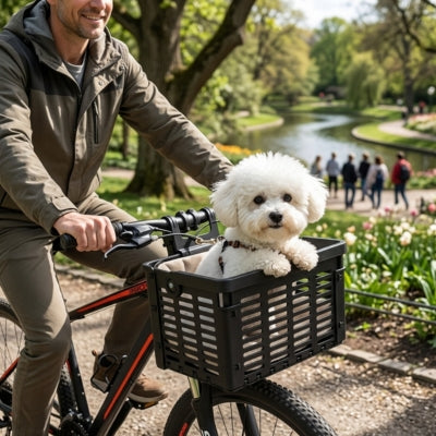 Bichon Frisé dans le panier velo pour chien lors d'une balade dans un parc.