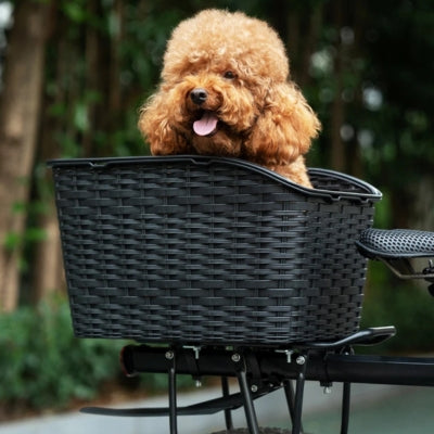 Gros plan d'un caniche marron souriant dans son panier velo pour chien arrière.