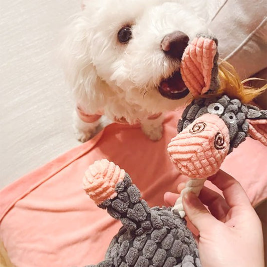 Un bichon joue avec une peluche pour chien grise en forme d'âne en velours côtelé.