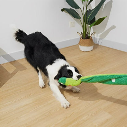 Border Collie s'amusant à tirer sur une peluche pour chiens verte et allongée.