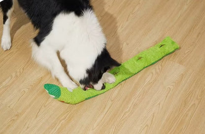 Border Collie utilisant une peluche pour chiens dépliée pour trouver ses friandises.