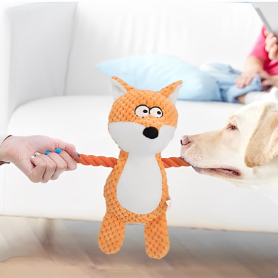 Jeu de traction avec une peluche pour chiens renard entre une main et un chien Labrador blanc.