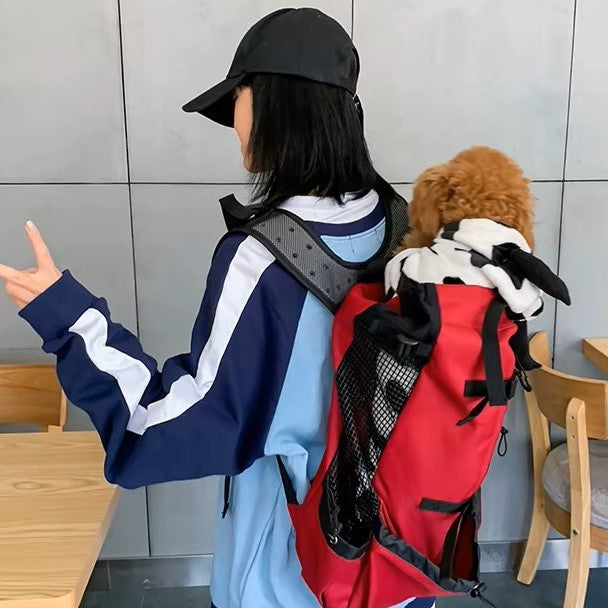 Petit caniche marron enroulé dans une couverture dans un sac a dos chien rouge.