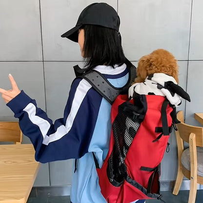 Petit caniche marron enroulé dans une couverture dans un sac a dos chien rouge.