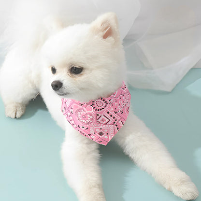 Un petit chien allonger au salons portant un bandana pour chien