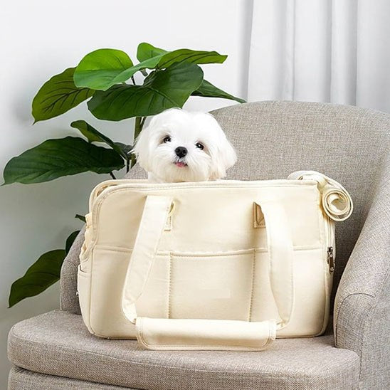 Petit chien Bichon Maltais sortant la tête d'un sac de transport pour chien sur un fauteuil.