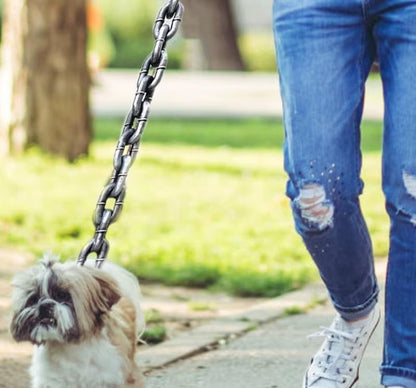 Laisse pour chien : Ce chiot est content accompagné de son maitre qui tient sa laisse en chaine PVC antirouille