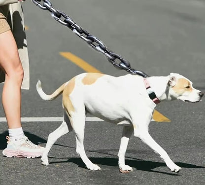 Laisse pour chien : Ce teckel se promène à la ferme avec sa maitresse qui tient une laisse en chaine PVC antirouille de couleur grise