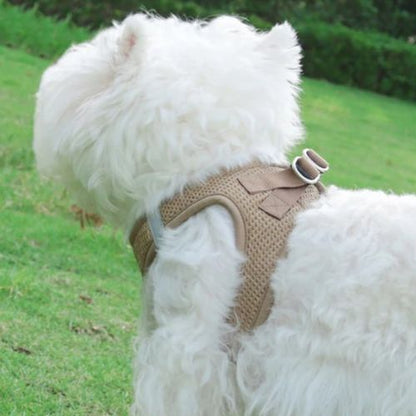Harnais anti traction chien : Ce loulou est au parc avec son harnais anti-traction fait d'un tissage gaufré doux et confortable