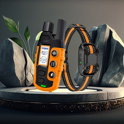 Collier de dressage chien-ControlXpert™ :