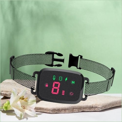 Collier dressage chien-AlphaTone™ :