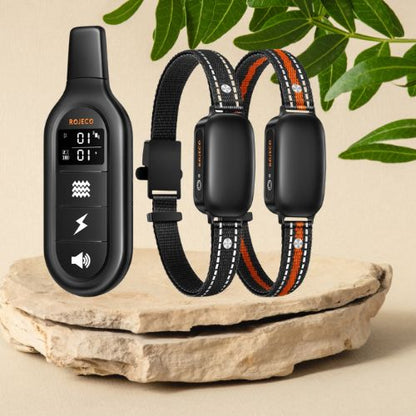 Collier pour dressage de chien-NeoTrainer™ : 