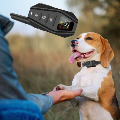 Collier pour dressage de chien-TrainSmart™ : Ce beagle est très heureux avec son maitre grâce au collier pour dressage de chien