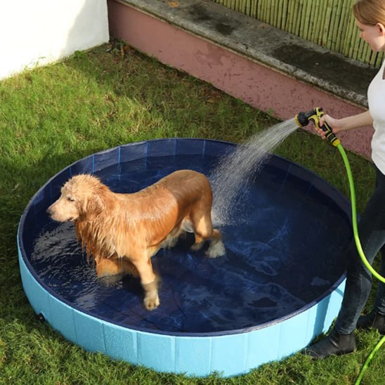 Femme rinçant un Golden Retriever au jet d'eau dans une piscine pour chien bleue.