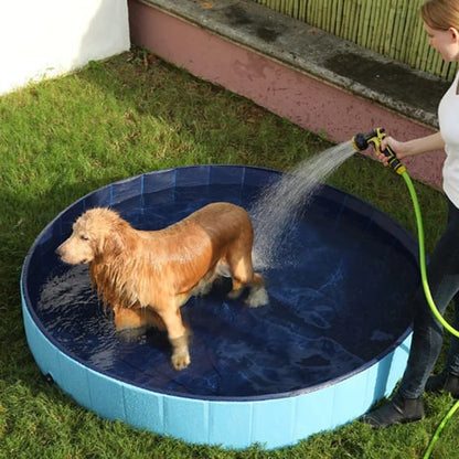 Femme rinçant un Golden Retriever au jet d'eau dans une piscine pour chien bleue.