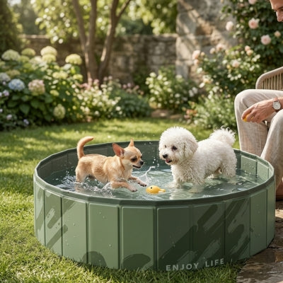 Un Chihuahua et un Bichon frisé jouent avec un canard dans une piscine pour chien "ENJOY LIFE".