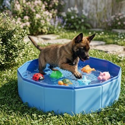 Chiot type Berger Allemand debout dans une piscine pour chien sur une pelouse.