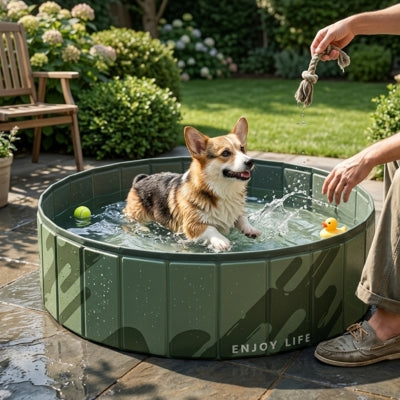 Chien Corgi regardant un jouet en corde au-dessus d'une piscine pour chien marquée "ENJOY LIFE".