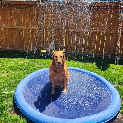 Golden Retriever assis au centre d'une piscine pour chien avec jets d'eau.