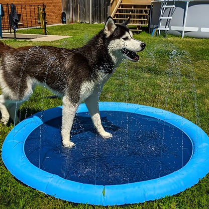 Chien Husky debout dans une piscine pour chien rafraîchissante.