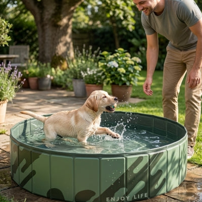 Jeune Labrador attrapant une balle dans l'eau d'une piscine pour chien verte "ENJOY LIFE".