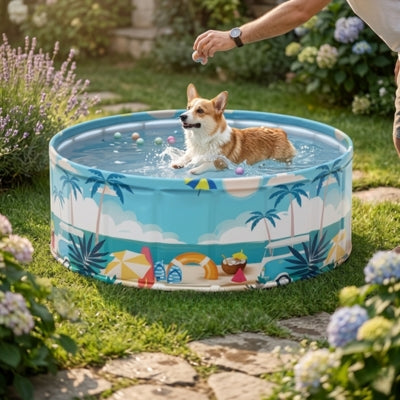 Chien Corgi bondissant vers une friandise dans sa piscine pour chien xxl au décor tropical.