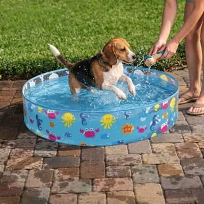 Chien Beagle bondissant dans l'eau d'une piscine pour chiens pendant qu'une personne l'arrose.