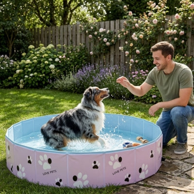Berger Australien bleu merle et son maître près d'une piscine pour chiens "Love Pets".