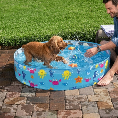 Chien Cocker Spaniel doré s'éclaboussant dans une piscine pour chiens à motifs marins.