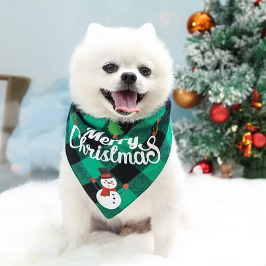  Bandana chien avec foulard carrelé vert-noir et motif de Noël est confortable et fièrement porté par ce mignon Loulou de Poméranie, assis avec joie dans la neige.