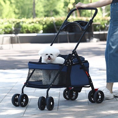 Un Bichon frisé blanc assis dans une poussette pour chien bleue sur un trottoir en ville.