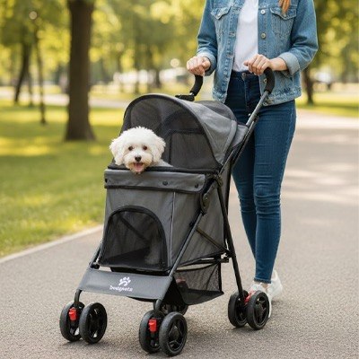 Petit Bichon frisé dans une poussette pour chien grise Bodysafe lors d'une balade urbaine.
