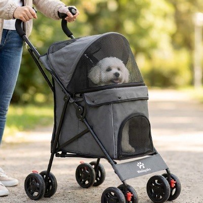 Gros plan d'un Bichon frisé assis dans une poussette pour chien grise de marque Wadopats.