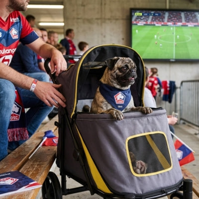 Carlin portant un bandana LOSC assis dans une poussette pour chiens dans les tribunes d'un stade.