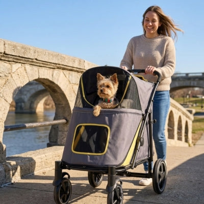 Femme souriante poussant un Yorkshire Terrier dans une poussette pour chiens sur un pont en pierre.