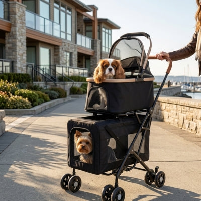 Cavalier King Charles et Yorkshire installés dans une poussette pour chien, bord d'eau.