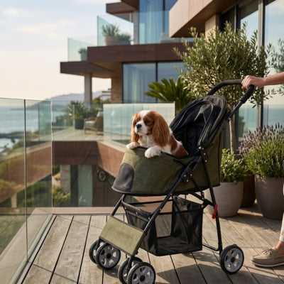 Cavalier King Charles dans l'une des poussettes pour chiens kaki sur une terrasse de luxe.