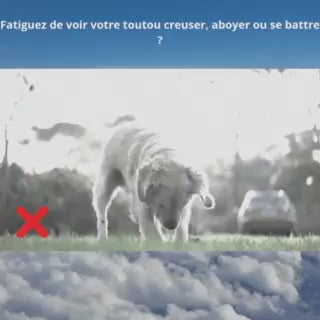 Collier pour dressage de chien-TrainSmart™