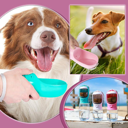 DDkgBottle™|Distributeur automatique d’eau et Nourriture