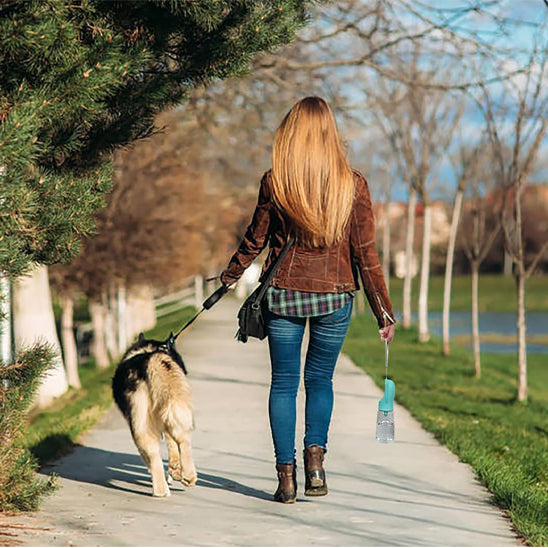 Femme de dos en promenade avec son chien portant une gourde pour chien bleue à la main.