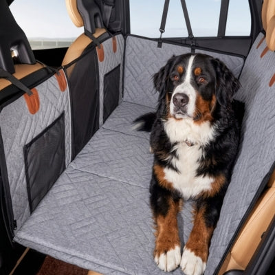 Bouvier Bernois assis sur une protection voiture chien intégrale grise.