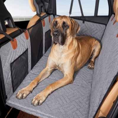Grand Danois fauve sur une protection voiture chien grise matelassée.