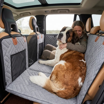Saint-Bernard et sa maîtresse sur une protection voiture chien avec filet.