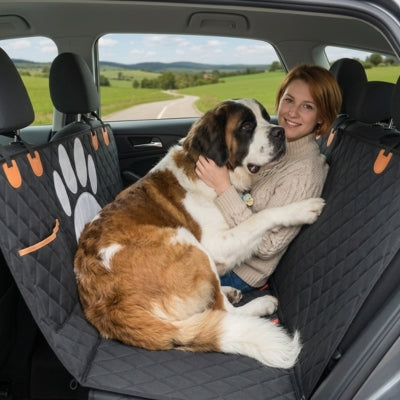 Femme avec un Saint-Bernard sur une protection voiture chien à bord d'un SUV.