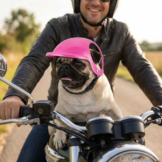 Pug avec un casque moto pour chien rose, assis sur le réservoir d'une moto.
