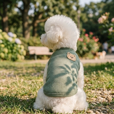 Chien Bichon de dos portant un pull chien vert à rayures et patch ours dans un parc.