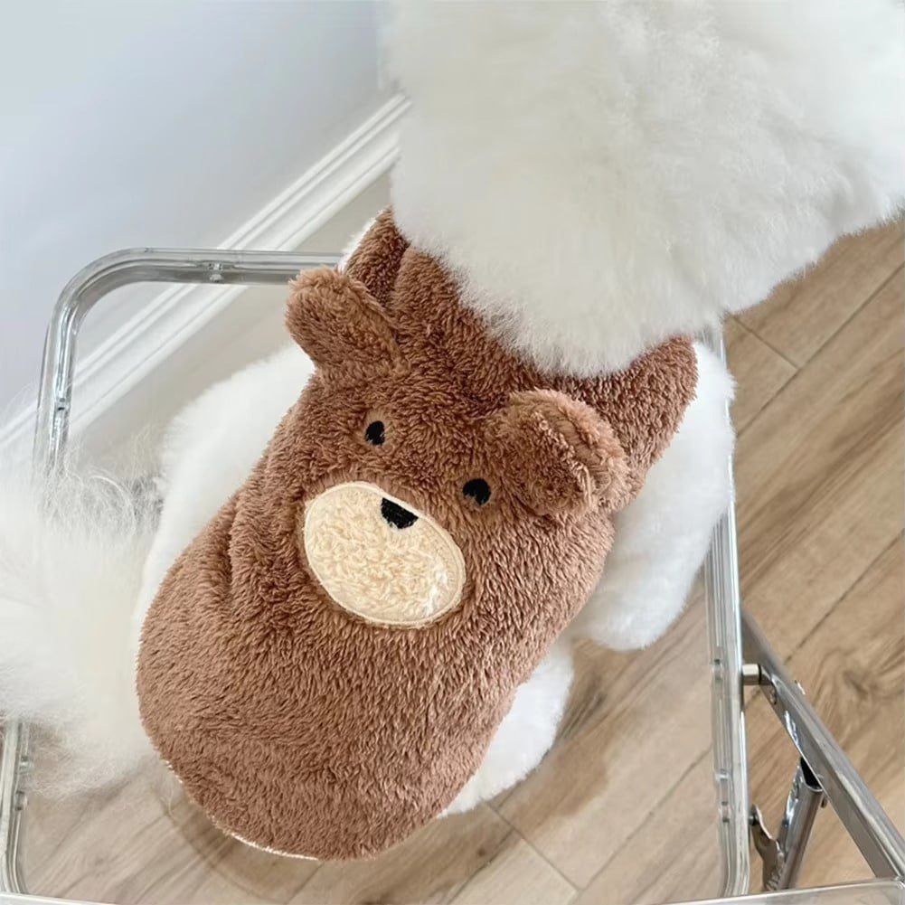 Bichon frisé assis sur une chaise, portant un pull chien marron à motif ours
